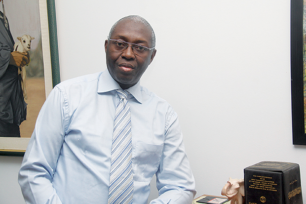Mamadou Lamine Diallo, Économiste et Financier 